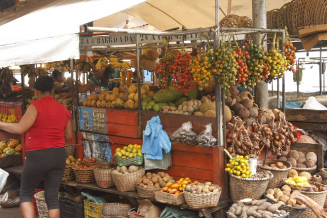 Frutas da Amazônia, ervas medicinais e castanhas.Foto: Tássia Barros/Divulgação