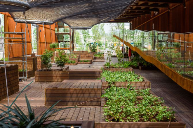 O pavilhão do Brasil tem 4,4 mil metros quadrados e conta com vários espaços, entre eles, bar, café e restaurante. Foto: Divulgação.