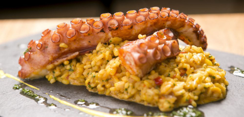 As novidades da gastronomia paulistana