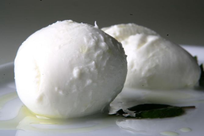 Foto: Daniel Castellano/Gazeta do Povo.