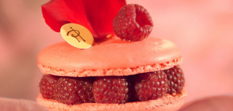 Os mestres do açúcar