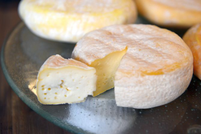 Queijo Reblochon produzido na PUC-PR com 30 dias de maturação. Foto: João Borges/Divulgação