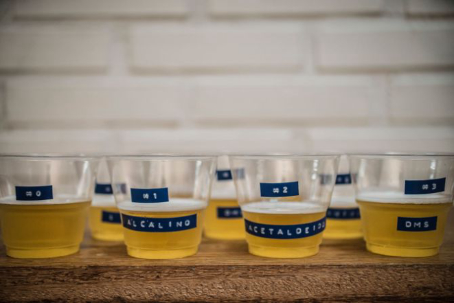 Foto: Munir Bucair Filho/Divulgação