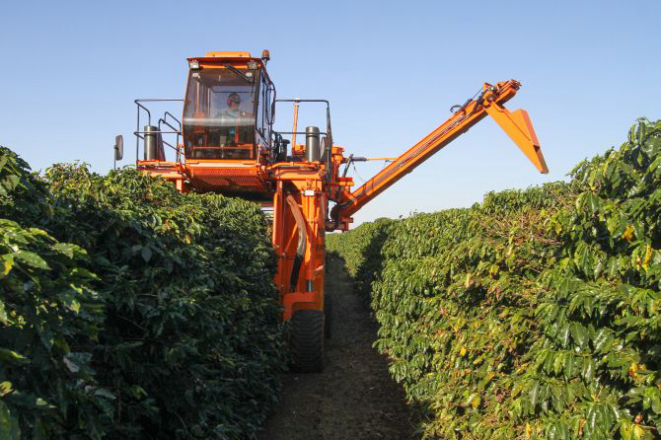 A fazenda Pilar, em Cornélio Procópio, investiu pesado para melhorar a qualidade do café e dobrar a produção até 2019. Foto: Rodrigo Félix Leal/Divulgação.