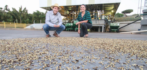 Café Perfetto lança linha 100% arábica