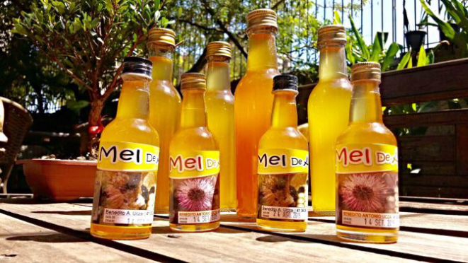 Mel da abelha nativa utilizado para elaborar o cardápio. Foto: Divulgação.