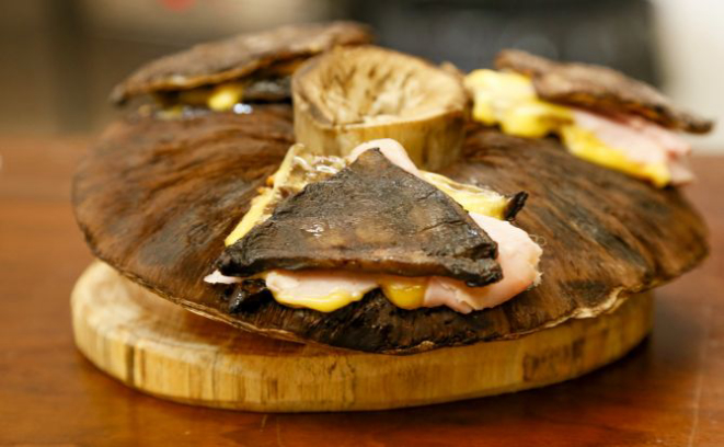 Foto: Hugo Harada/Gazeta do Povo