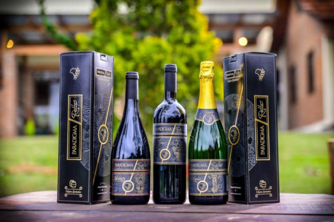 Foto: Priscilla Fiedler/Divulgação