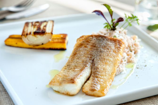 Foto: Fernando Zequinão/Gazeta do Povo