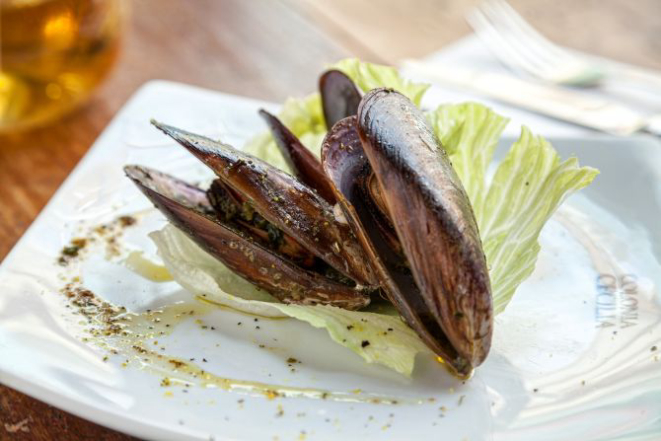 Foto: Fernando Zequinão/Gazeta do Povo