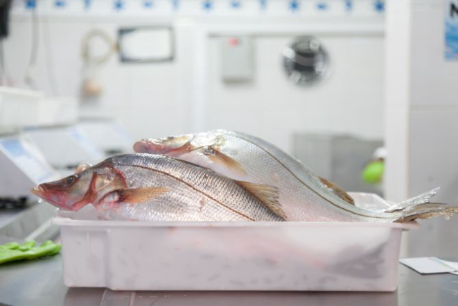 Foto: Fernando Zequinão/Gazeta do Povo