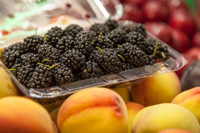 Foto: Fernando Zequinão/Gazeta do Povo