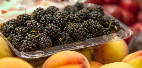 Massa para lasanha, óleo de bagaço de oliva, geleias orgânicas; veja o que está nas prateleiras do supermercado