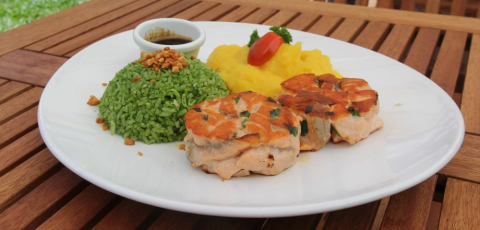 Aulas-show gratuitas no domingo são destaque no Parada Truck Concept