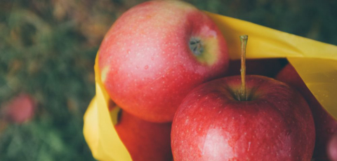 Veja quais alimentos dá para levar na mala em viagens aéreas