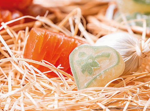 Sugestões de produtos para você experimentar em janeiro