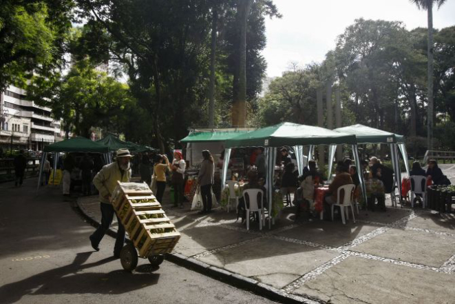 Feira de orgânicos do Passeio Público. Foto: André Rodrigues/Gazeta do Povo