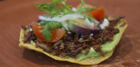 Restaurante mexicano serve mescal e pratos exóticos