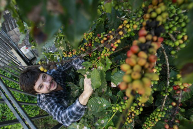 Leo Moço, que participa de workshop do Estúdio Bom Gourmet, já venceu o Campeonato Brasileiro de Barista duas vezes. Foto: Daniel Castellano/Gazeta do Povo