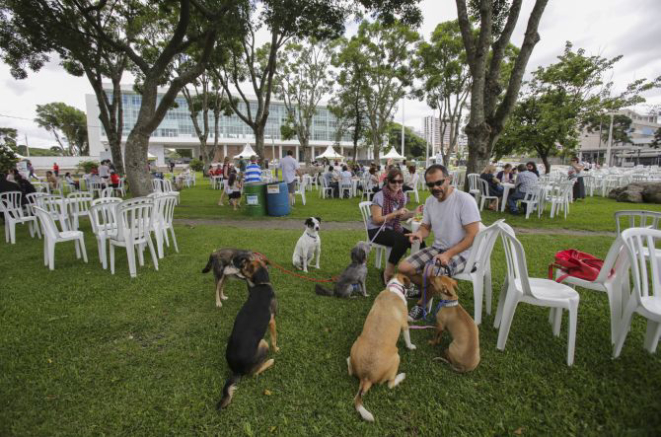 Evento acontece na Praça Nossa Senhora da Salete, no Centro Cívico, das 11h às 19h. Foto: Daniel Castellano/Gazeta do Povo.