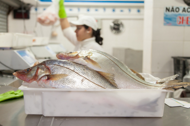 Nos boxes das peixarias, opções fresquinhas para os consumidores.