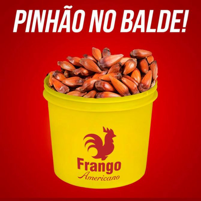 Pinhão no balde. Foto: reprodução/Facebook.