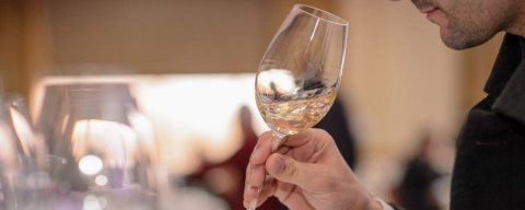 Vinhos do PR ganham em campeonato mundial