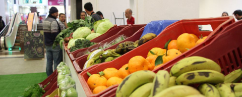 Shopping tem feira orgânica às quintas