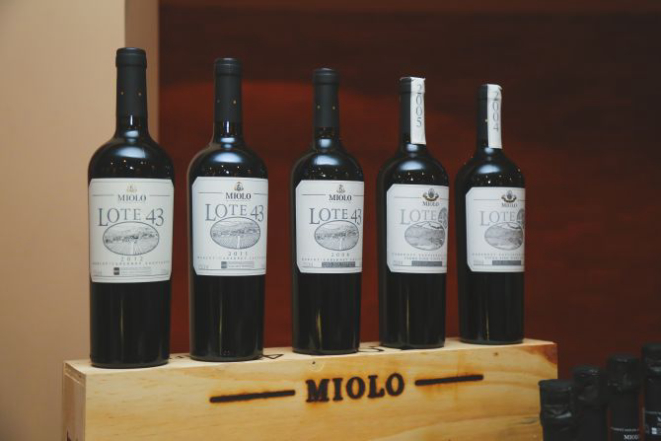 As cinco safras do Lote 43 apresentadas em Curitiba. Foto: Dani Starck/Divulgação.