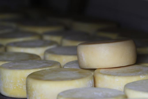 Curitiba tem degustação gratuita do segundo melhor queijo do mundo