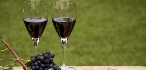 Aula ensina sobre corpo, assemblage e harmonização de vinhos tintos