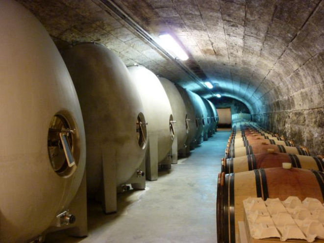 Ovos de concreto em vinícola de Paris. Foto: World All & Details/Reprodução