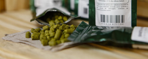 Lúpulo tem sabor de damasco, banana e melão