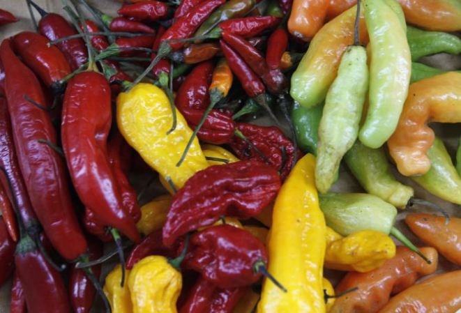 Fotos: Antonio More/Gazeta do Povo