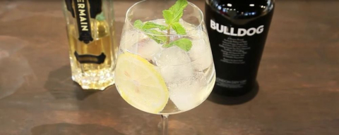 Gim, a bebida da moda conquista os curitibanos