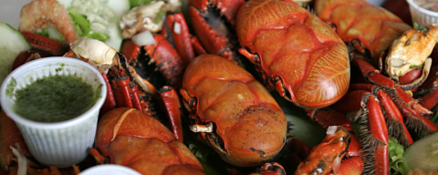 Litoral recebe tradicional festa do caranguejo