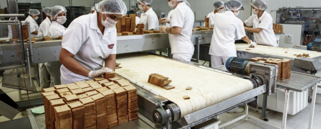 Fábrica de pães Charlotte. Localizada em Campo Largo, região metropolitana de Curitba, a fábrica distribui pães para marcas nacionais. No momento está investindo num mix de torradas com sabor, um produto visando a exportação. Foto: André Rodrigues / Gazeta do Povo