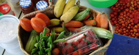 Feira de orgânicos da UFPR ganha novo espaço e aumenta oferta de produtos