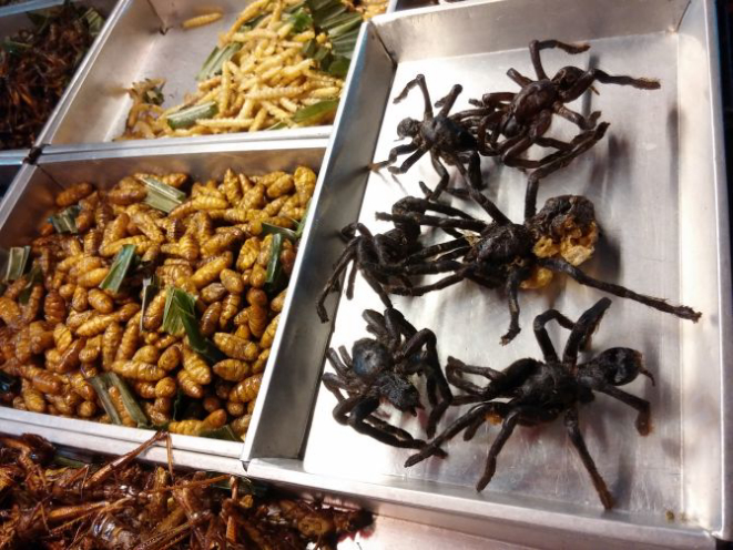 Bangkok: tarântulas fritas à venda em Khaosan Road.