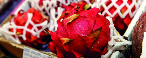 Mercado Municipal tem pitaia, a fruta-dragão, por R$ 30 o quilo