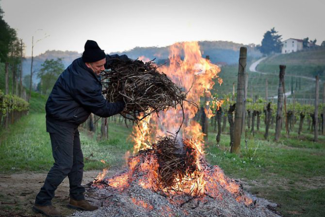 Fogueiras na vinícola Venica & Venica, na Itália. Foto: reprodução Facebook.