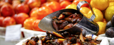 Veja o preço no Mercado Municipal dos principais ingredientes para montar a festa junina em casa