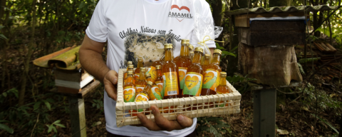 O perfumado mel da RMC ganha certificação e agora pode ser comercializado em todo o Brasil