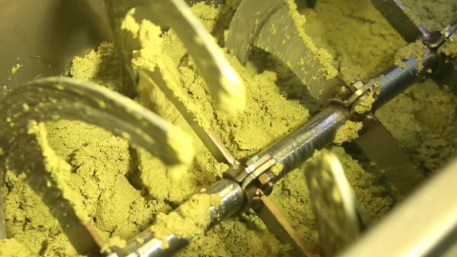 A moagem é feita com a azeitona inteira. A pasta é centrifugada, para separar água do óleo e os sólidos, como pedaços de caroço. Foto: Divulgação/Prosperato