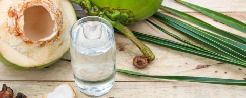 Teste identifica irregularidades em seis marcas de água de coco