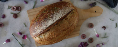 Largo da Ordem ganha padaria de fermentação natural com preços a partir de R$ 7