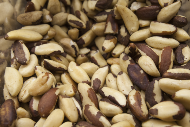 Foto: Daniel Caron/Gazeta do Povo