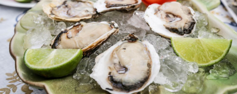 Vai faltar ostra em Curitiba: toxina em SC prejudica comércio do molusco