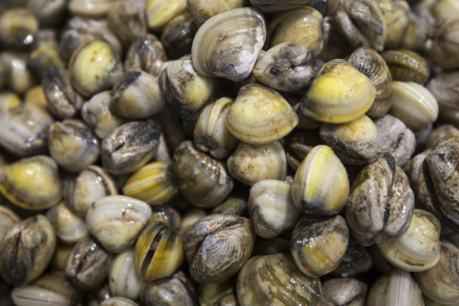 Foto: Daniel Caron/Gazeta do Povo