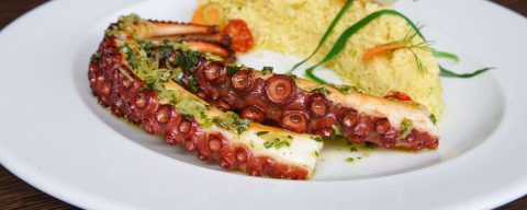 Oi, sumido! Polvo brasileiro está em falta em restaurantes e peixarias